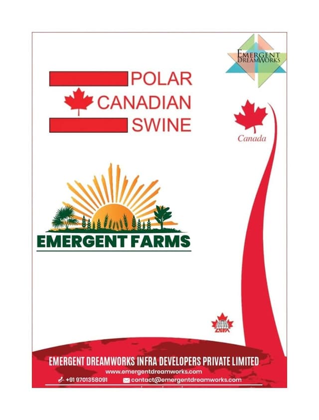 Food Distribution: Export Banana Box