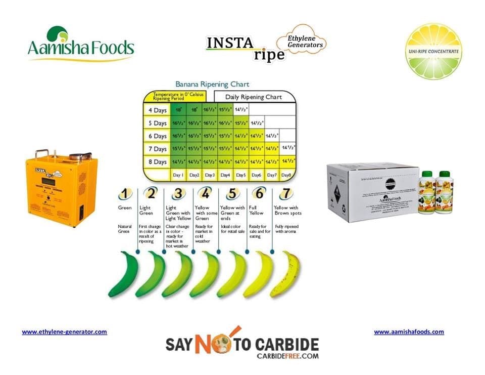 Food Distribution: Export Banana Box