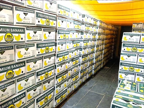 Agri Exports