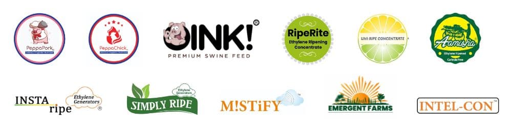 Corporate Pig Farming